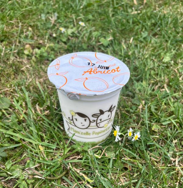 YAOURT AROMATISE ABRICOT